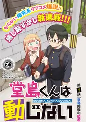 城市漫游者 蜜桃视频纪实综艺海报
